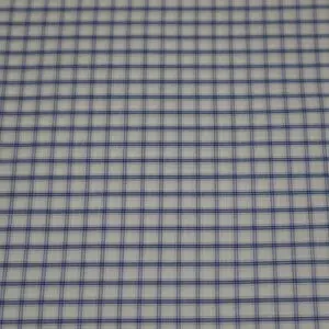 Close-up of blue grid lines on white graph paper.